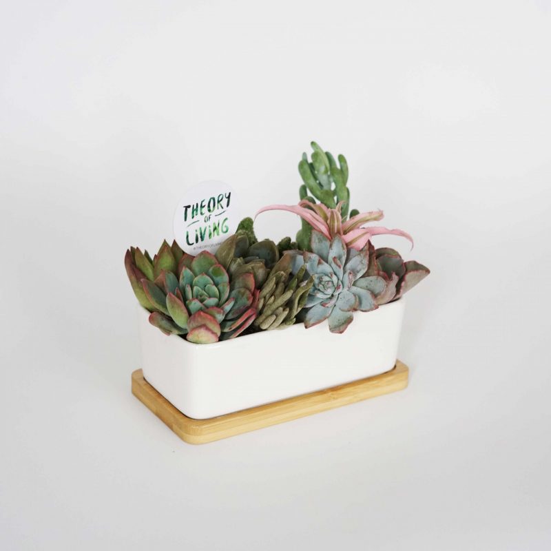Ceramic Vase | Rectangular