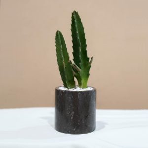 Small Marble Pot (5 Colors)