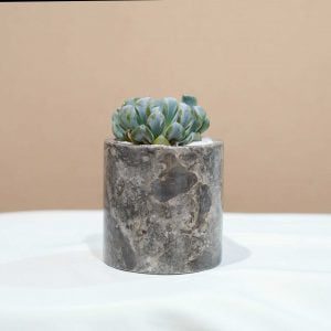 Small Marble Pot (5 Colors)