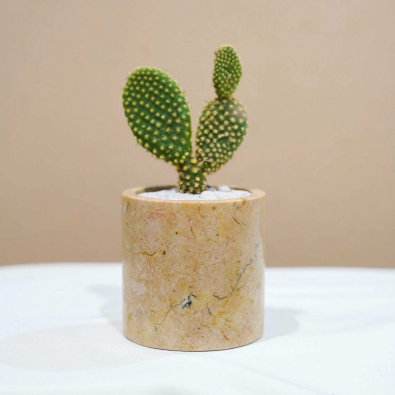 Small Marble Pot (5 Colors)