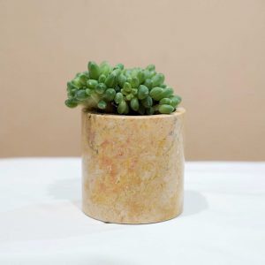 Small Marble Pot (5 Colors)