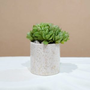 Small Marble Pot (5 Colors)