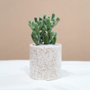 Small Marble Pot (5 Colors)