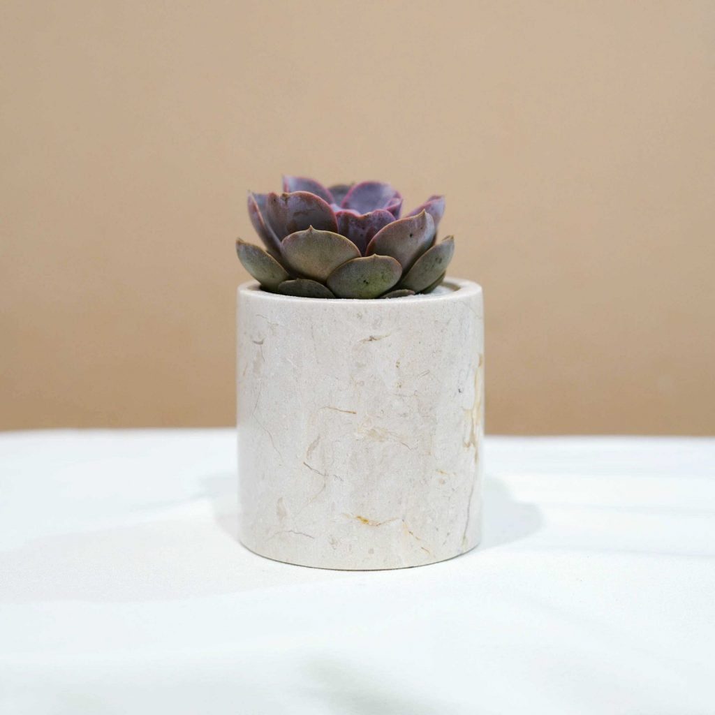 Small Marble Pot (5 Colors)