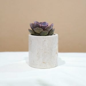 Small Marble Pot (5 Colors)