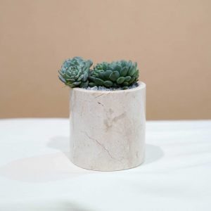 Small Marble Pot (5 Colors)