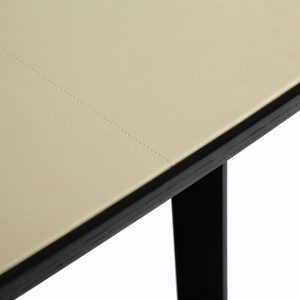 Sapa Desk