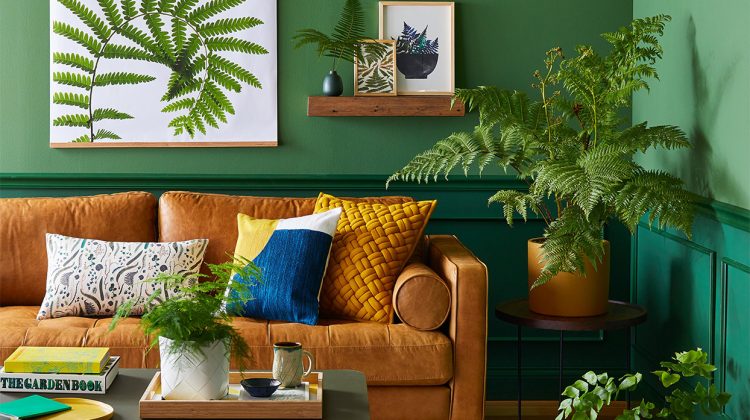 Planning an Eco-Friendly Home