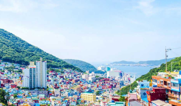 Travel by Design: Busan Series