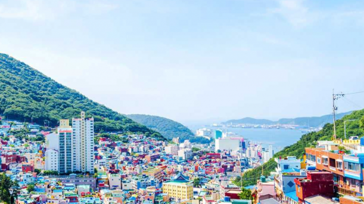 Travel by Design: Busan Series